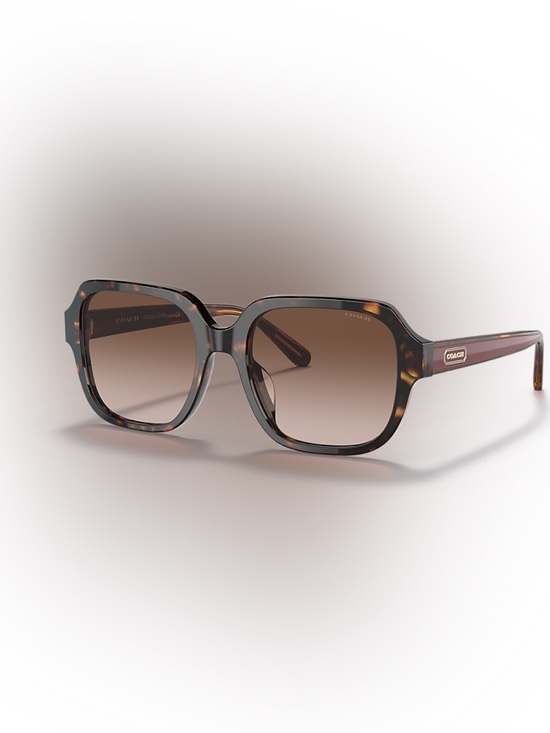 Coach Accessories - Coach Sunglasses